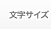 文字サイズ