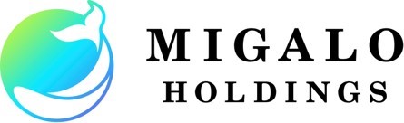 �~�K���z�[���f�B���O�X